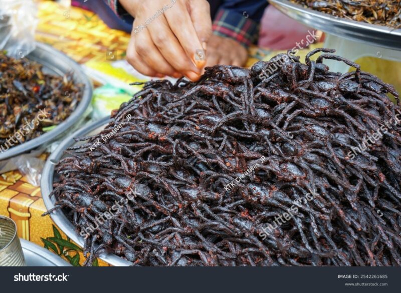 カンボジア市場で売られている食用クモの大数量